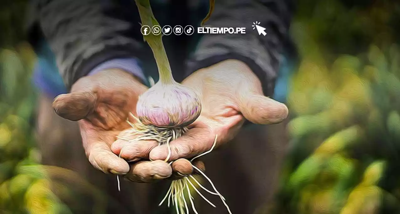 Midagri asegura que Censo Nacional Agropecuario estaría programado para el 2026