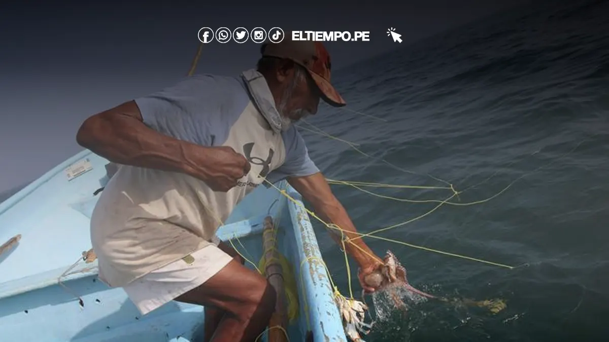 ULTIMO-MINUTO-ONP-2024