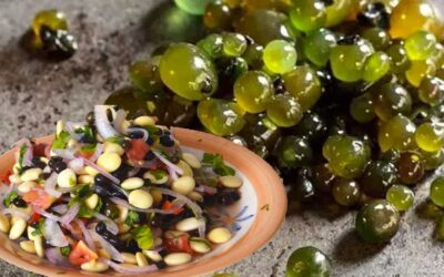 Descubre los 10 beneficios del cushuro y su valor nutricional