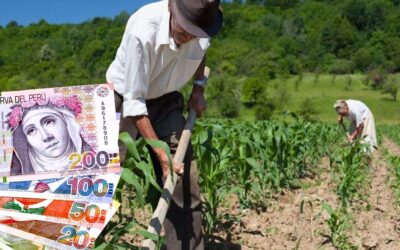 Bono fertilizantes 2022, LINK y los requisitos para los beneficiarios, fechas de pago y consulta con DNI