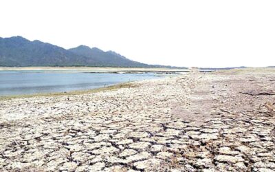 Piura: Ejecutivo declara en emergencia a once distritos por sequía