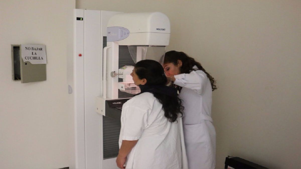 xr:d:DAFBGIDMQBk:193,j:27732892754,t:22060223