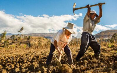 FERTIABONO: Contraloría detecta inconsistencias en primer listado de beneficiarios