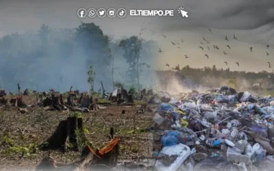 El 40 % de las tierras del planeta están deterioradas, según las ONU