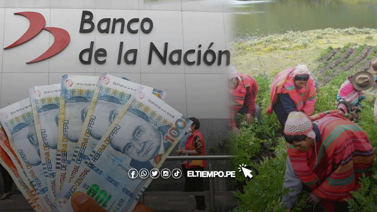 bono-800-1600-2400-y-3200-et