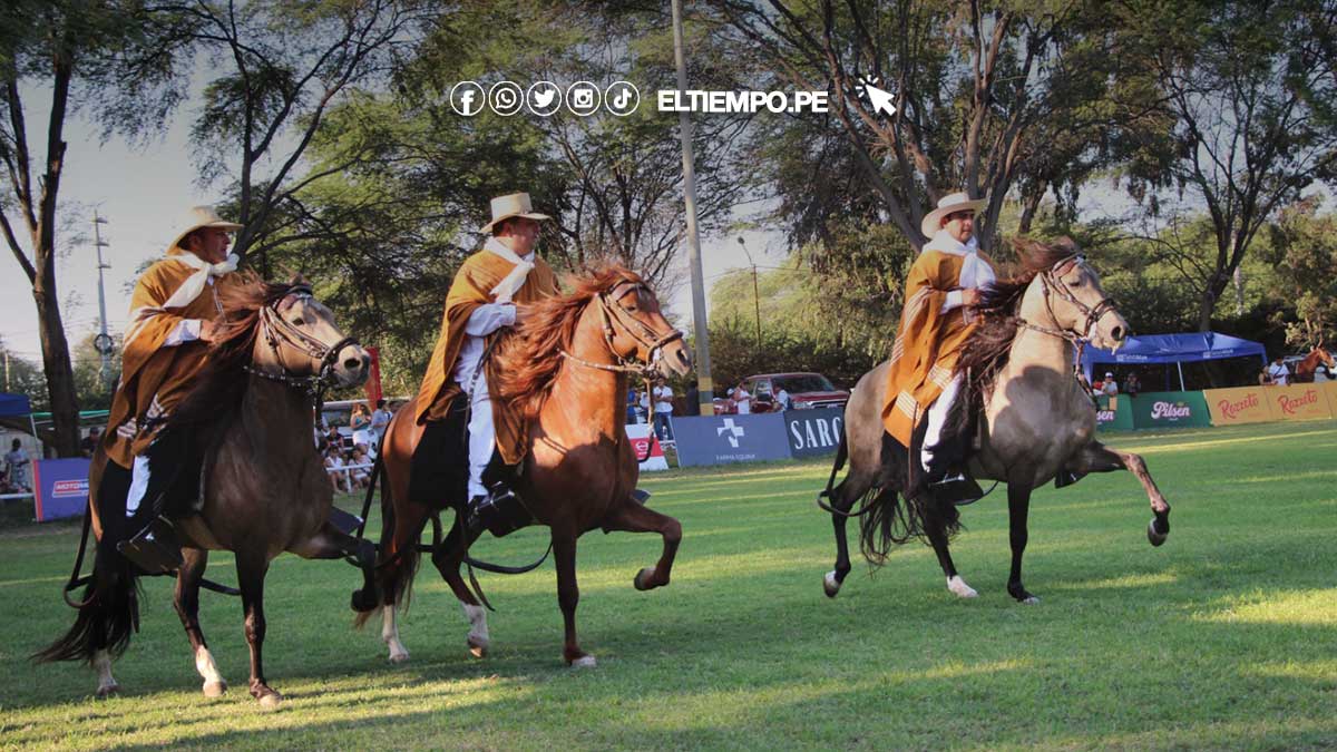 caballos-de-paso-piura