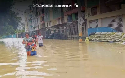 Nos falta ser más competitivos