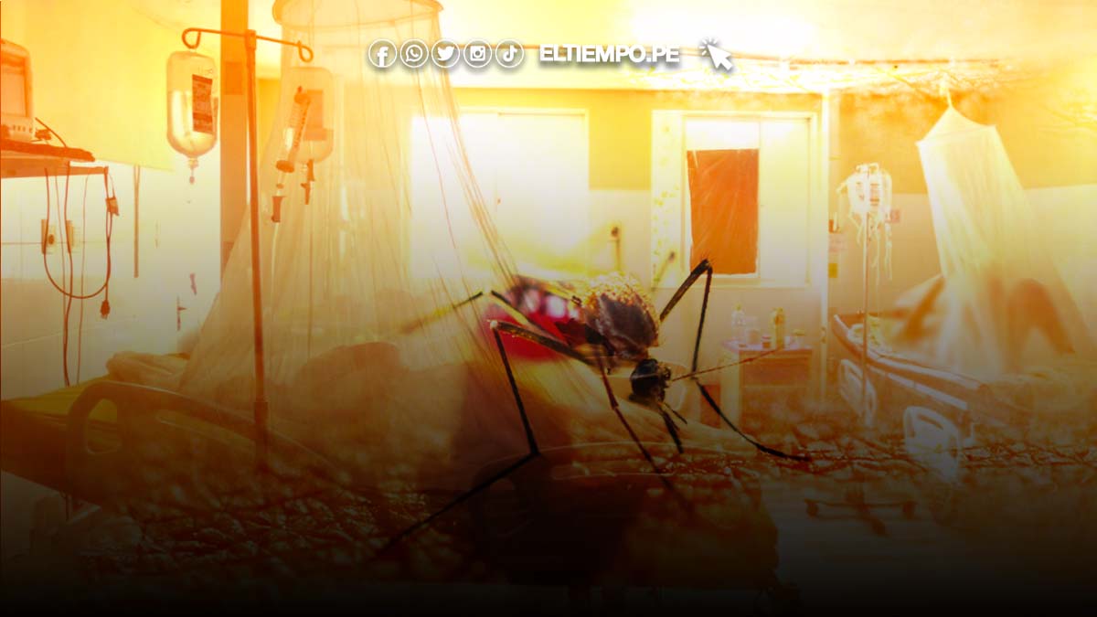 dengue-sigue-en-aumento-y-reportan-mas-de-5-mil-casos-en-adultos