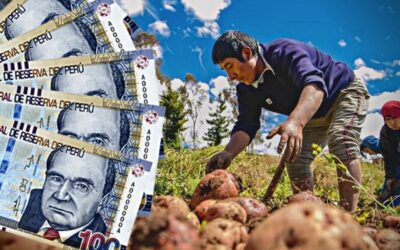 Consulta, LINK de bonos 2022: Bono Wanuchay y FertiAbono noviembre 2022