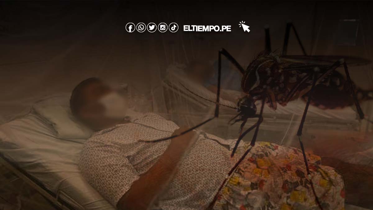 gobierno-amplia-estado-de-emergencia-sanitaria-en-20-regiones-por-aumento-de-casos-de-dengue-en-el-peru