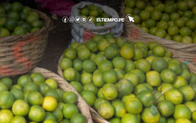 ¿Por qué sube el precio del limón en Perú?