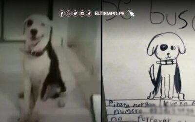 VIRAL: abuelita encuentra a su perrito perdido gracias a tierno dibujo hecho por su nieta