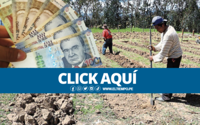 Bono Fertiabono 2022, LINK, requisitos y Banco para cobrar el subsidio