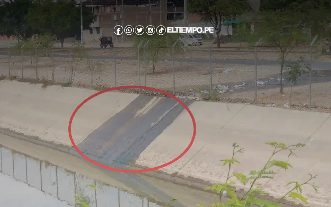 ¡Canal de Biaggio Arbulú contaminado por desagüe! Sector agrícola el más perjudicado
