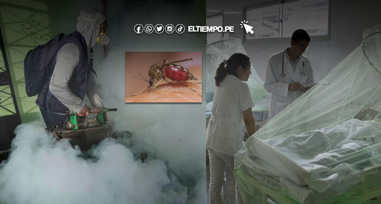 Dengue en Perú: registra un récord con 258 mil casos en lo que va del 2024