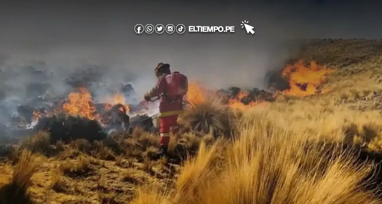 Estado de emergencia por incendios