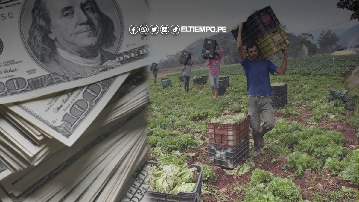 Crédito agrícola BVC Crédito agrícola BVC