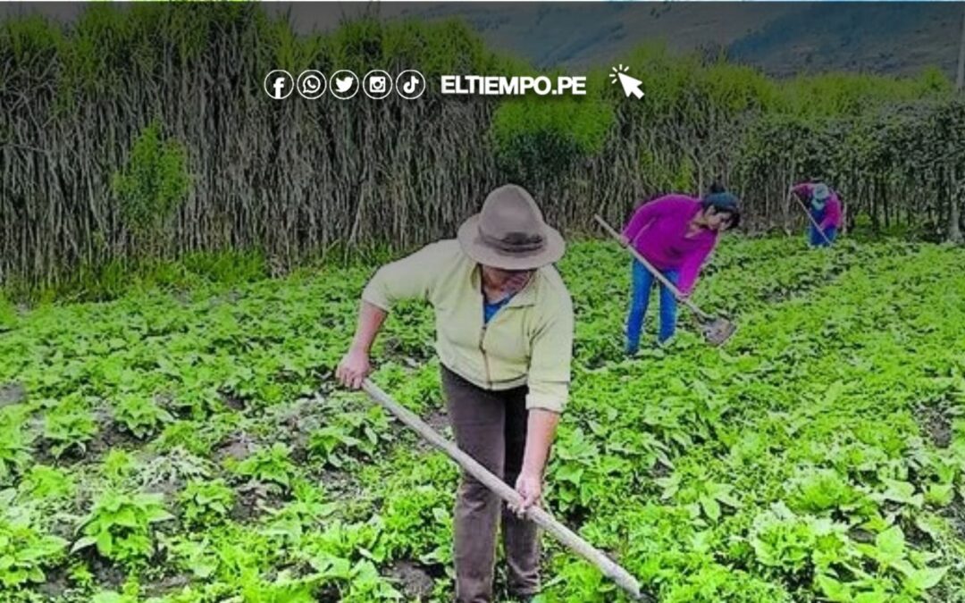 Tras debate, aprueban dar agua a agricultores a partir de mañana
