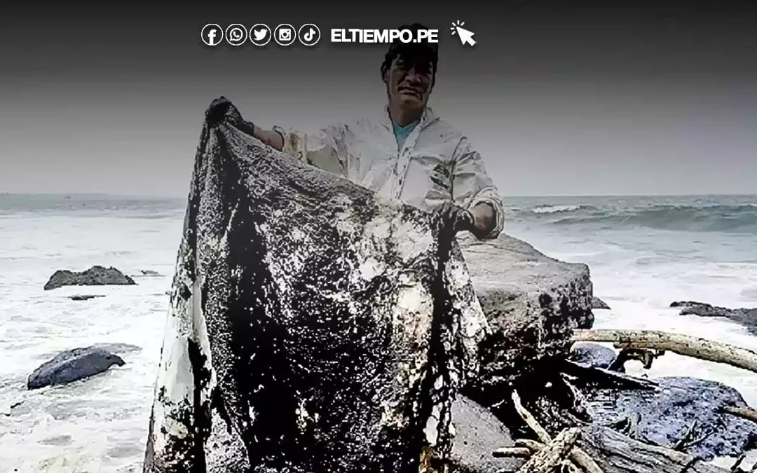 Pescadores accederán a créditos sin intereses