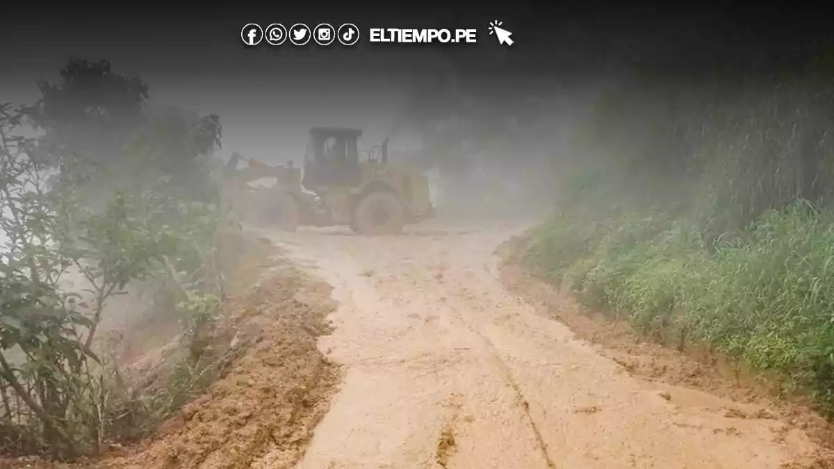 Piura Empresas exportadoras incrementan, pero empleos ligados al sector se reducen