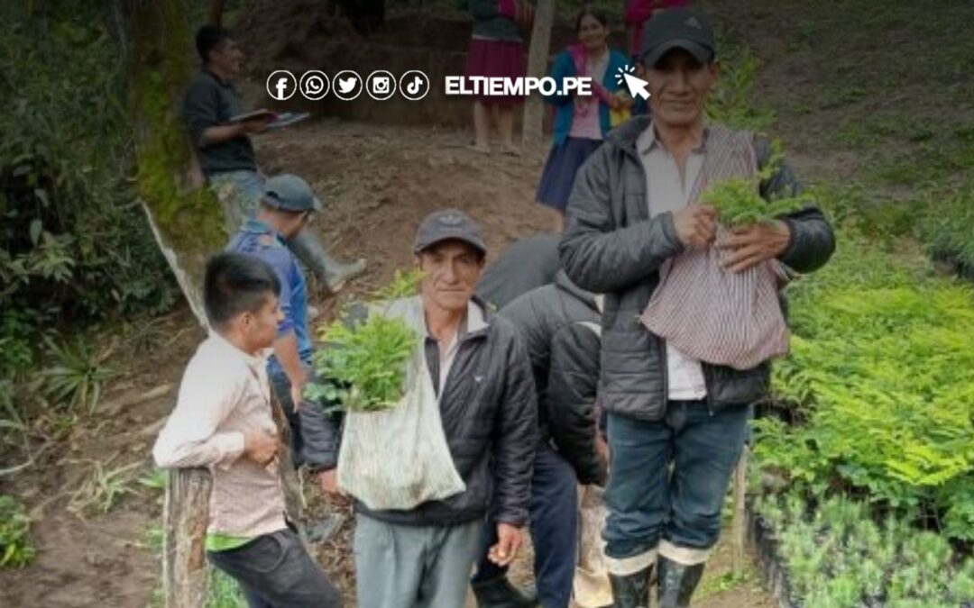 Cerca de 850 pequeños productores agrarios de Lambayeque se beneficiarán este 2025