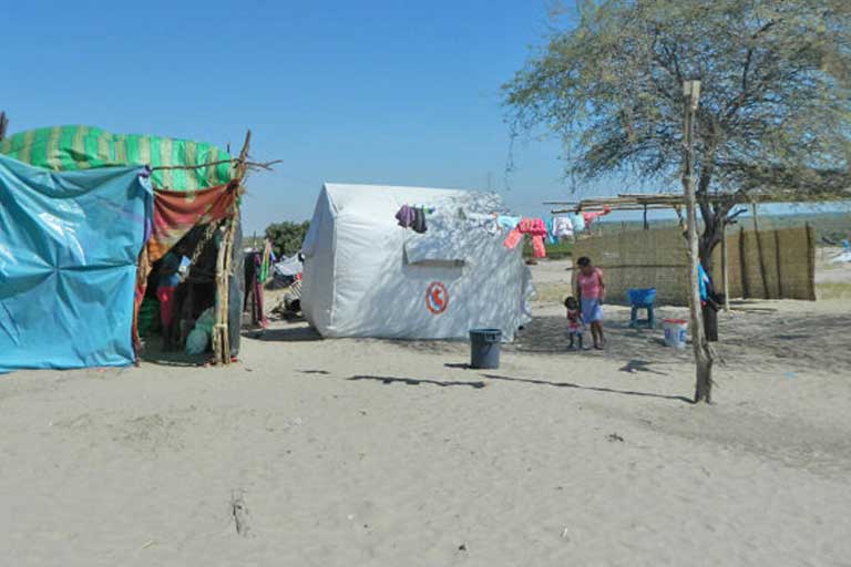tejedoras paja toquilla,piura,catacaos