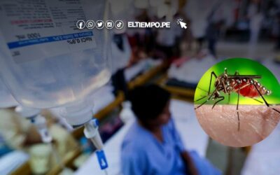 Casma confirma el primer caso de dengue en 2025: Menor de 11 años dio positivo a la enfermedad