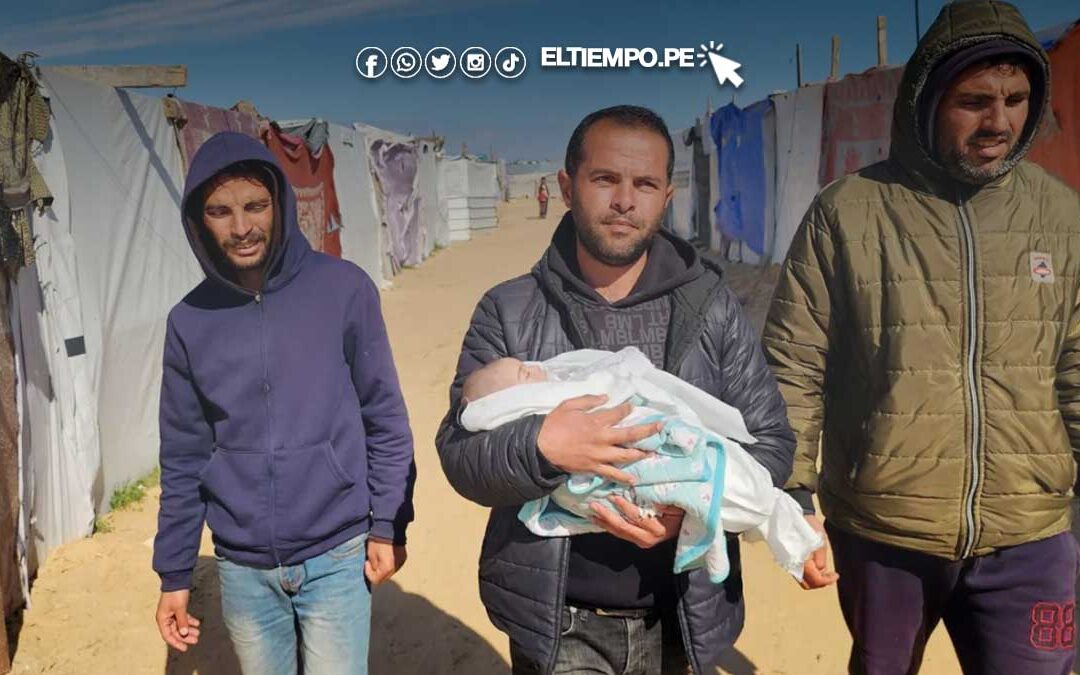 Siete bebés mueren de hipotermia en Gaza, según las autoridades sanitarias