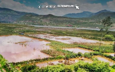 Más de 7300 hectáreas de cultivo perdidas dejan las intensas lluvias