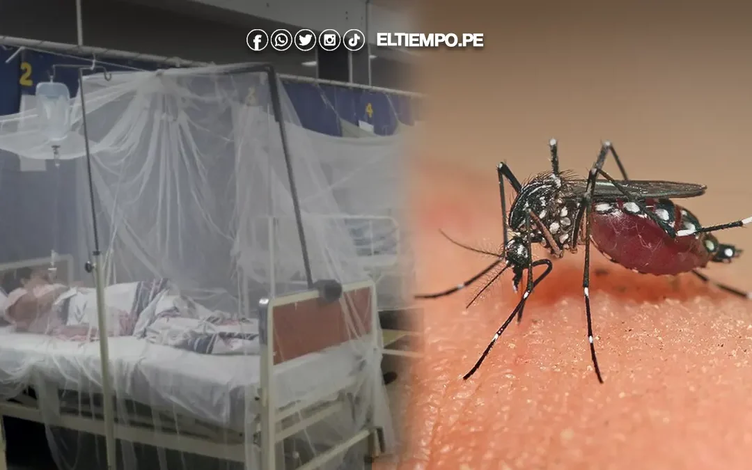 Piura: Dengue supera los dos mil casos en el primer trimestre de 2025