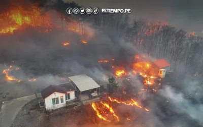 Corea del Sur: Incendios forestales cobran la vida de 24 personas