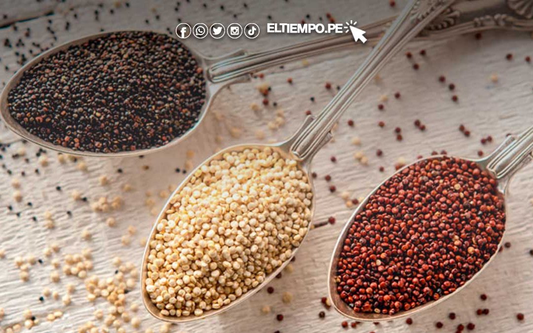 Conoce el alto valor nutricional de proteínas, vitaminas y minerales de la quinua
