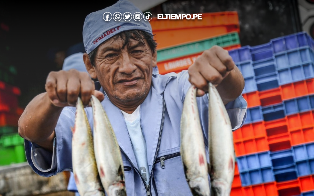 Produce: Inicia veda reproductiva de merluza por 30 días