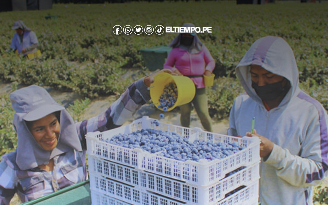 Perú: Exportaciones regionales sumaron US$ 10,298 millones
