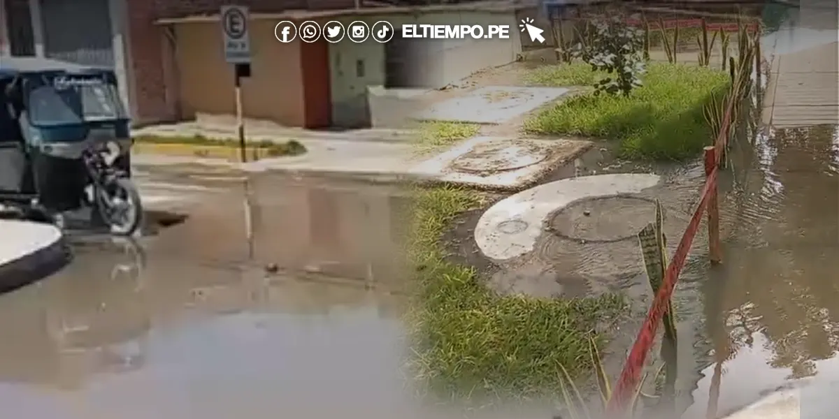 Piura: Advierten aumento de casos de leptospirosis y diarreas Piura: Advierten aumento de casos de leptospirosis y diarreas