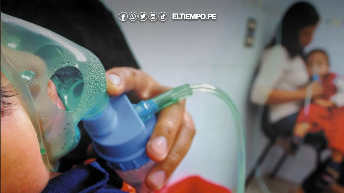 enfermedades respiratorias enfermedades respiratorias