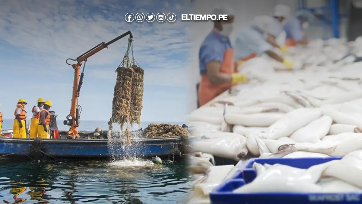 exportaciones de pesca no tradicional exportaciones de pesca no tradicional