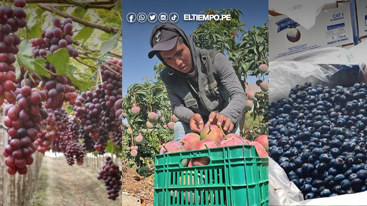 exportaciones piuranas exportaciones piuranas