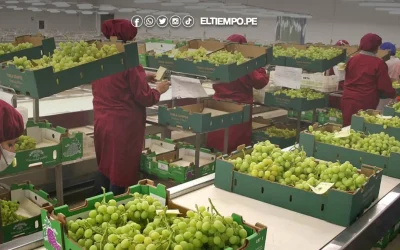 Piura espera llegar al mercado asiático tras viaje presidencial