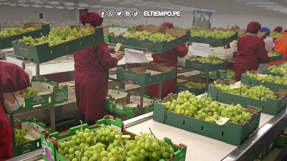 agroexportaciones 2025 agroexportaciones 2025