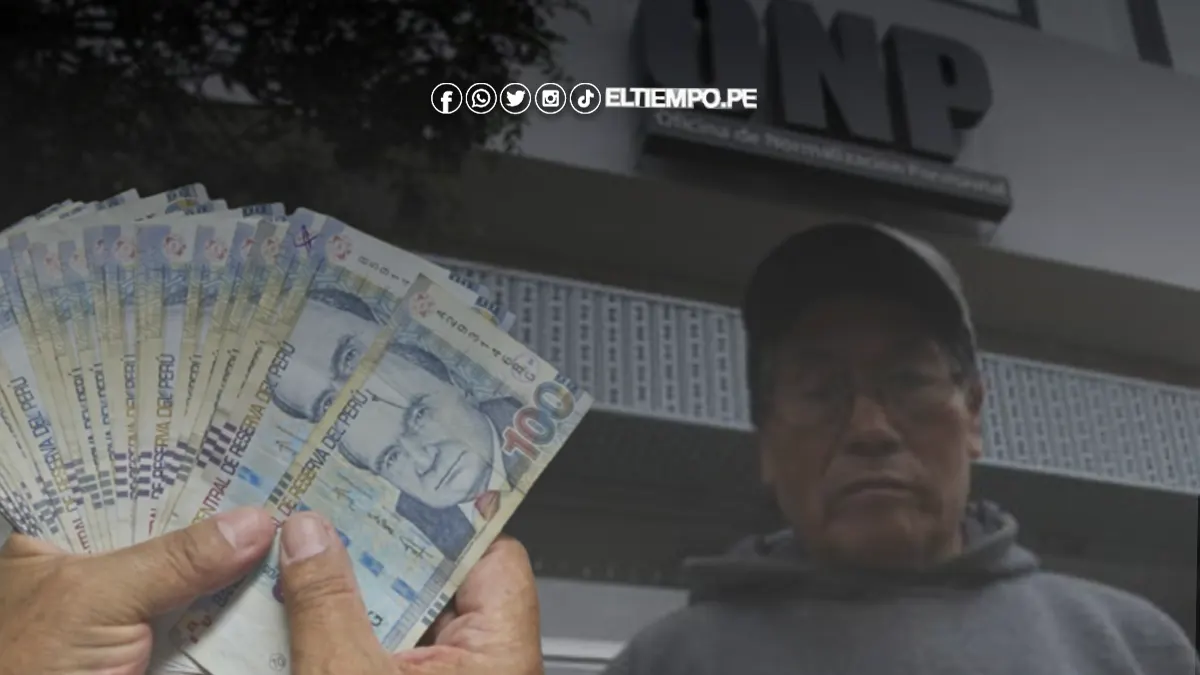 bono onp 2025 bono onp 2025