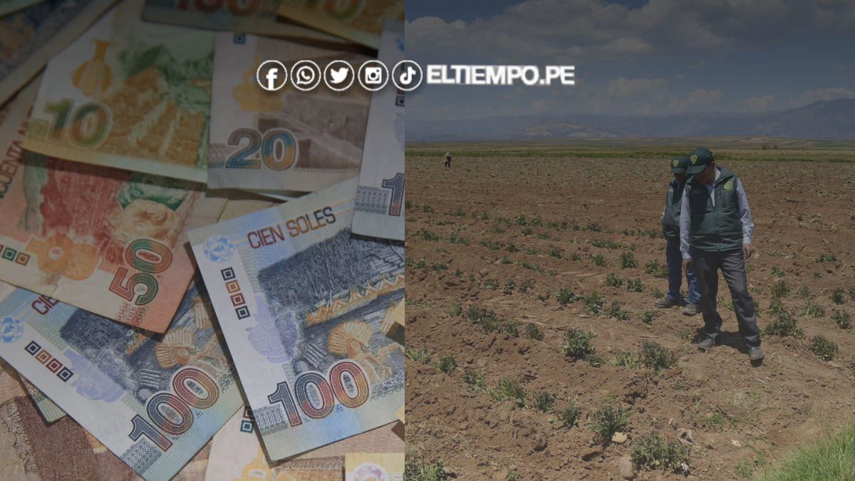 Pedirán ampliación de beneficiarios del bono agrario por crisis hídrica Pedirán ampliación de beneficiarios del bono agrario por crisis hídrica