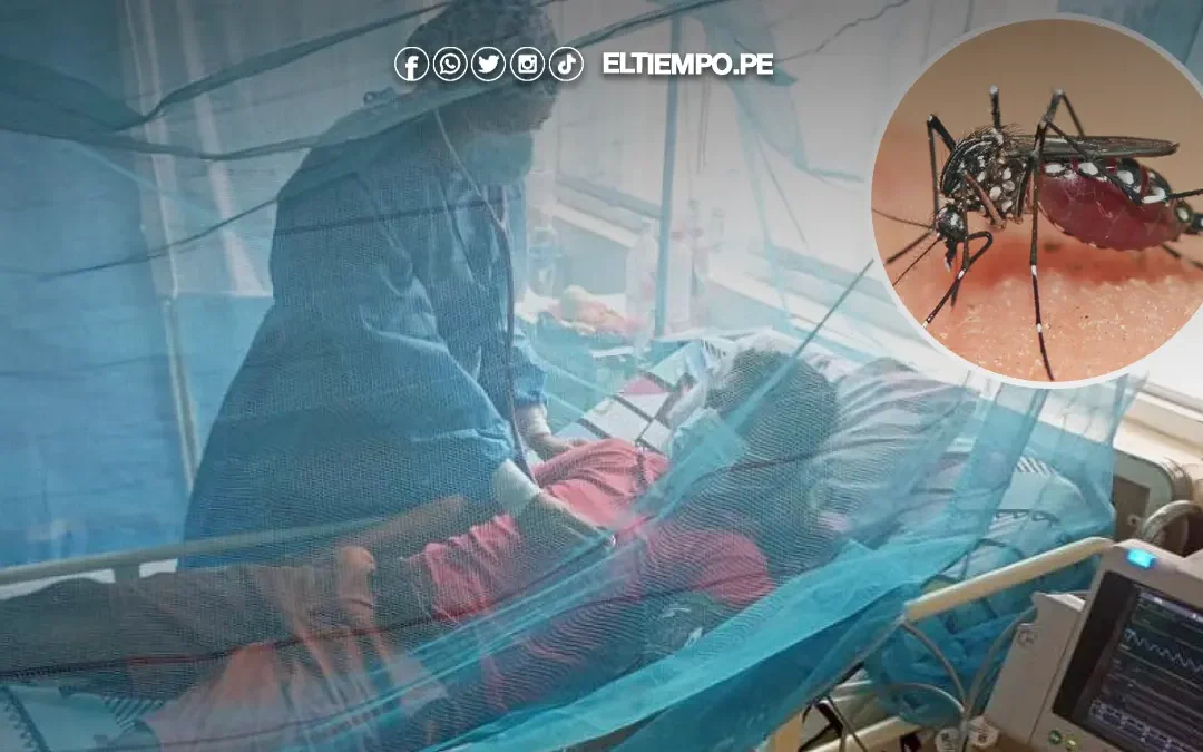 Piura no registra muertes por dengue en 2025, pero especialistas piden ‘no bajar la guardia’