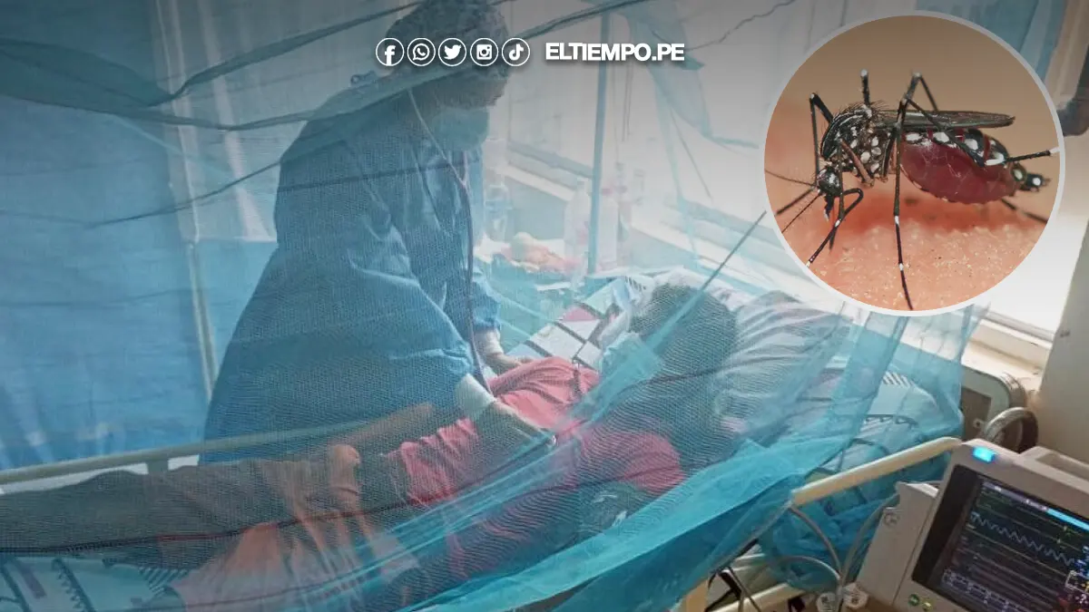 dengue en Piura 2 dengue en Piura 2