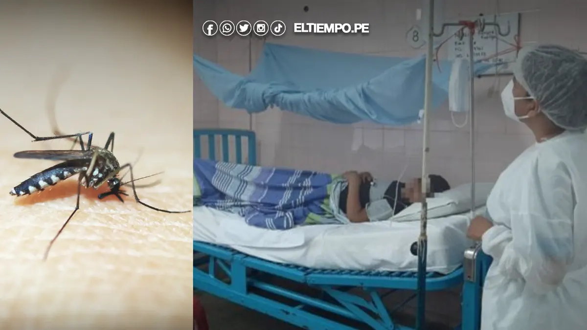 Dengue en Piura 3 Dengue en Piura 3