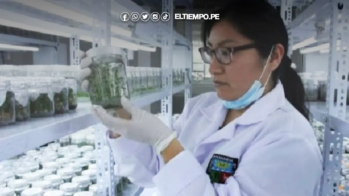 investigación científica investigación científica