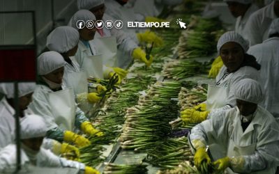 Piura figura entre las cinco regiones con mayor concentración de unidades empresariales