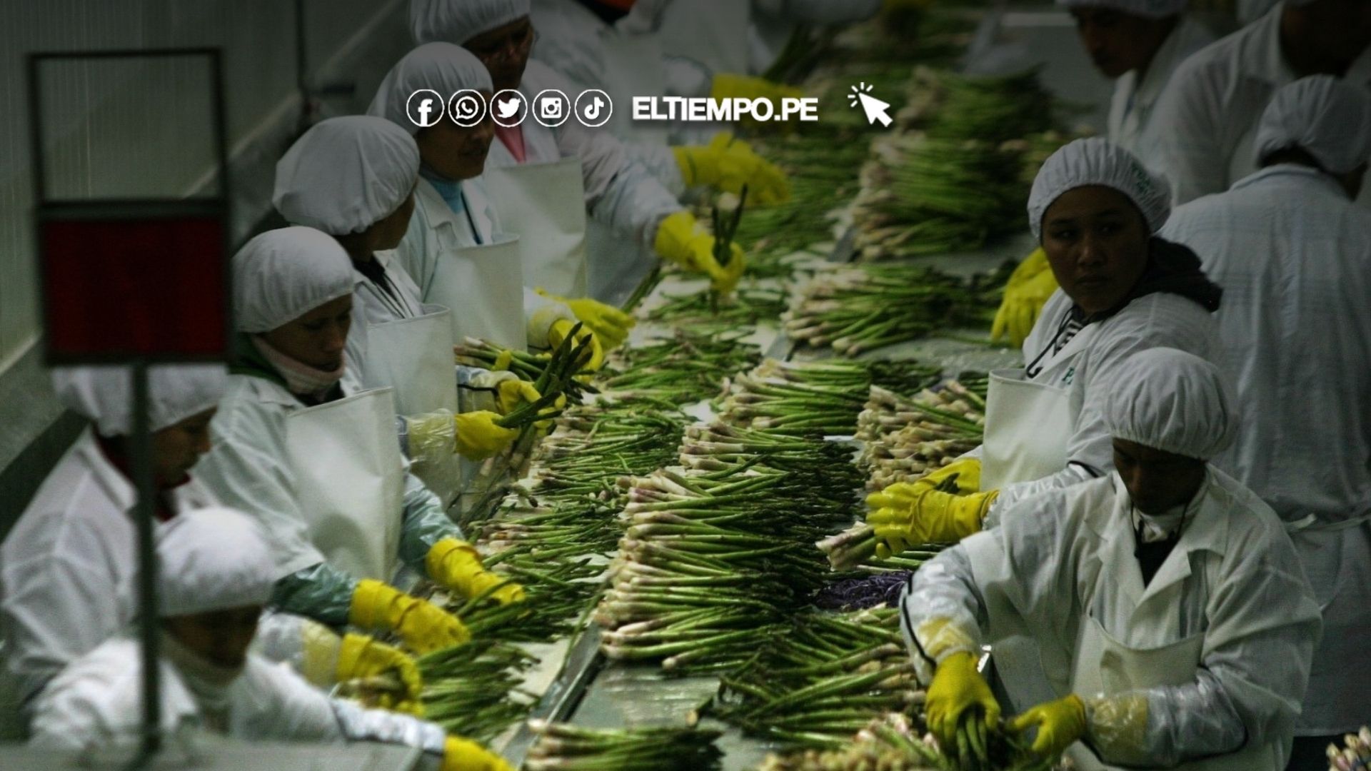 piura concentración empresarial