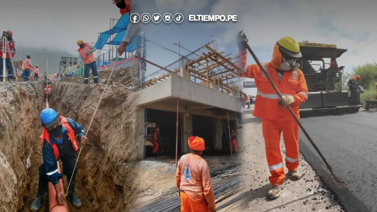 programas sociales composición