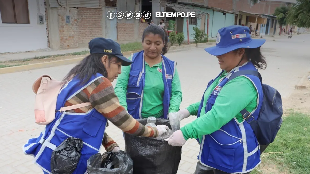 acciones contra el dengue